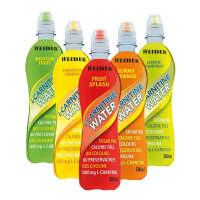 Weider L-Carnitine Water 500ml - Fruit Splash