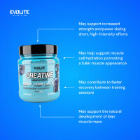 Evolite Nutrition Creatine Monohydrate 500g Blueberry