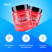 Evolite Nutrition Creatine Monohydrate 500g Strawberry