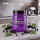 Evolite Nutrition Aminodust 474g Black Currant
