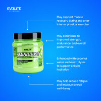 Evolite Nutrition Aminodust 474g Green Apple