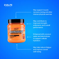 Evolite Nutrition Aminodust 474g Peach