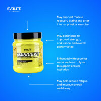 Evolite Nutrition Aminodust 474g Pineapple