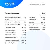 Evolite Nutrition Ultra Flex 390g Blueberry