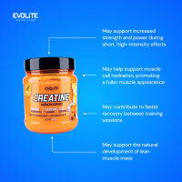 Evolite Nutrition Creatine Monohydrate 500g Orange