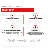 VAST V8 Total Energy 336g