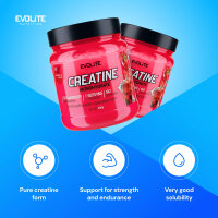 Evolite Nutrition Creatine Monohydrate 300g Strawberry