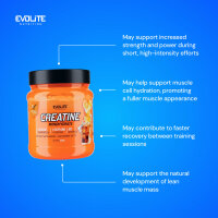 Evolite Nutrition Creatine Monohydrate 300g Orange