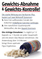 Goldfield Turbo Fatburner Plus 60 Kapseln