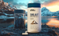 Applied Nutrition Shilajit 90caps