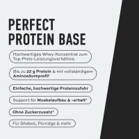 ESN Basic Whey 1kg