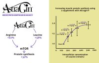 Hiro Lab Eaa 400g Green Apple Sorbet