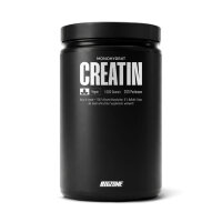 Big Zone Creatine Monohydrate 1kg