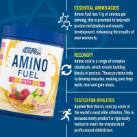 Applied Nutrition Amino Fuel EAA 91g Millions Pineapple