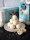 Feel Fit Coconut Protein Balls with Almonds 63g